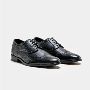 Cavani Orleans Schoenen Black - Wingtip Brogue