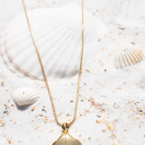 Shell Necklace