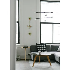 Kubus designhouder eikenhout set van 3 (inclusief luchtplantjes) – Minimalistische en uniek